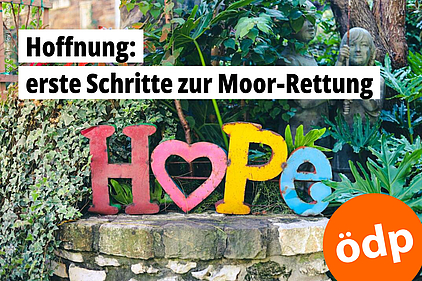 Das Wort "Hope" steht in bunten Buchstaben auf einer Gartenmauer