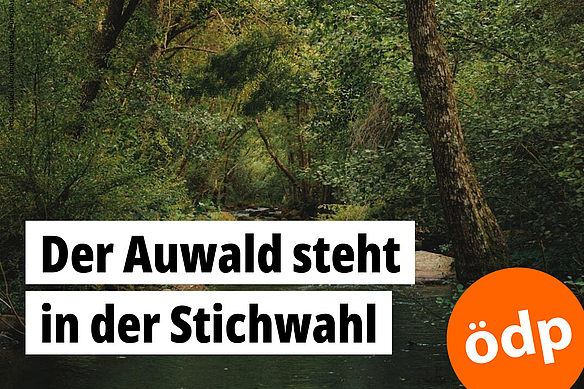 Ein Fluss fließt durch eine Waldlandschaft