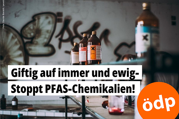 In einem Regal stehen verschiedene Flaschen mit Aufklebern, die auf einen giftigen Inhalt hinweisen.